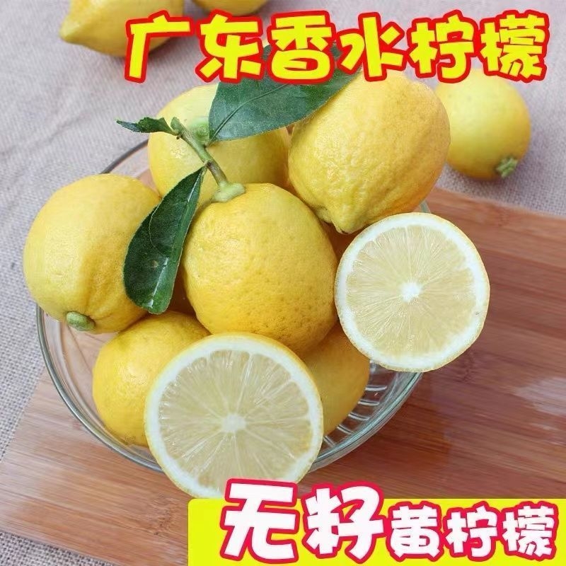 新鲜黄柠檬正宗广东无籽香水柠檬黄果水吧奶茶店整箱非安岳黄柠