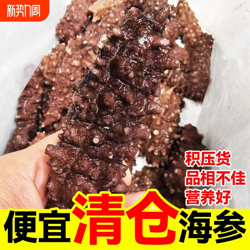 送礼鲜蒸即食海参大连鲜活辽刺参滋补刺参礼盒底播品质旗舰店冷冻