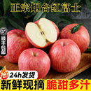 顺丰烟台红富士苹果应当季 新鲜水果整箱山东栖霞脆甜冰糖心丑平果