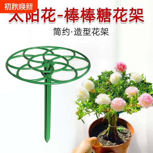 太阳花棒棒糖单层多层支撑爬藤