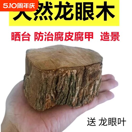 养乌龟专用缸龙眼木晒台爬坡躲避窝造景摆件用品龙眼叶子养龟大型