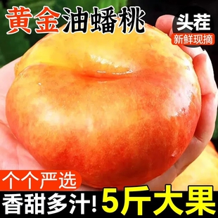 黄金油蟠桃5斤新鲜桃子水果当季整箱现摘现发蒙阴彩虹奶油扁桃