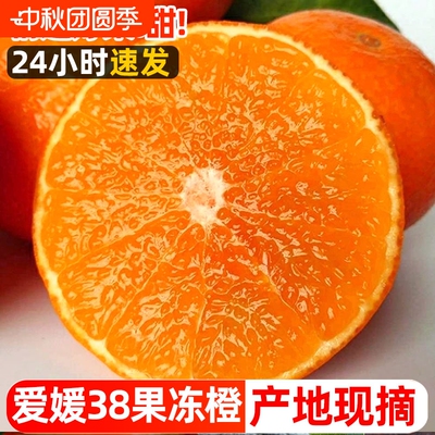 现摘正宗爱媛38号果冻橙新鲜橙子当季水果甜柑橘大果整箱包邮