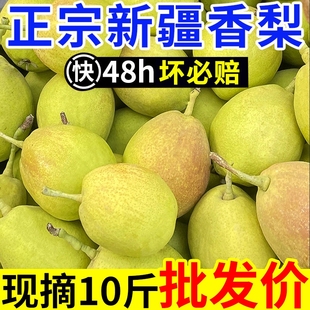 【纯母梨】爆甜新疆香梨新鲜水果梨子红香酥梨源自库尔勒杂交品种