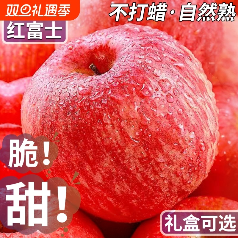 正宗烟台栖霞红富士苹果山东特产当季水果新鲜现摘脆甜圣诞平安果