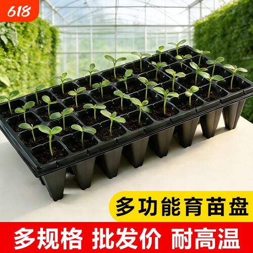 育苗神器穴盘蔬菜塑料秧