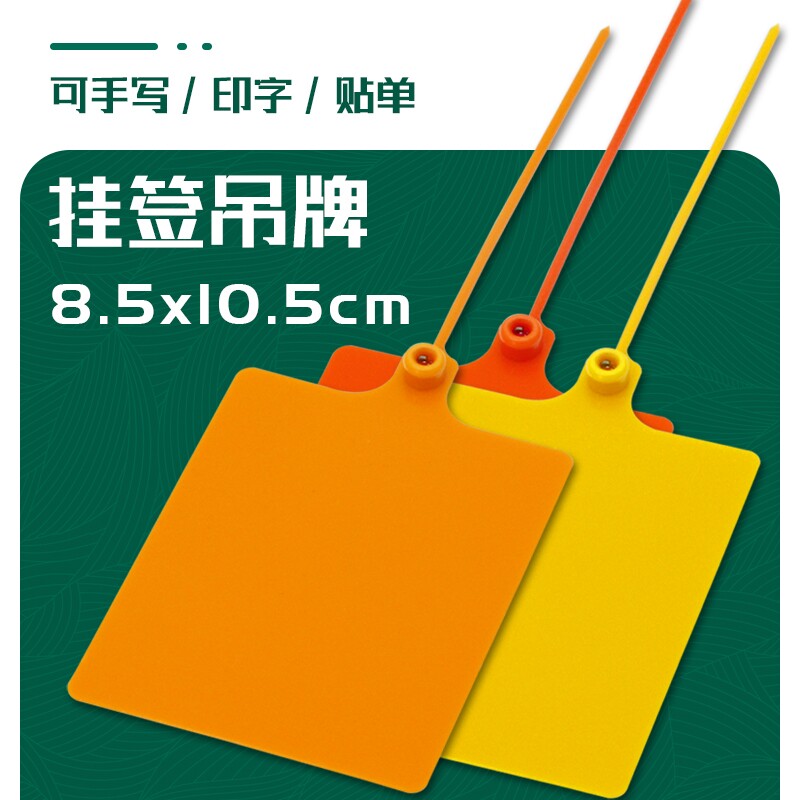 物流标签封条挂牌大标牌扎带快递运单吊牌挂签塑料铅封标识记号牌