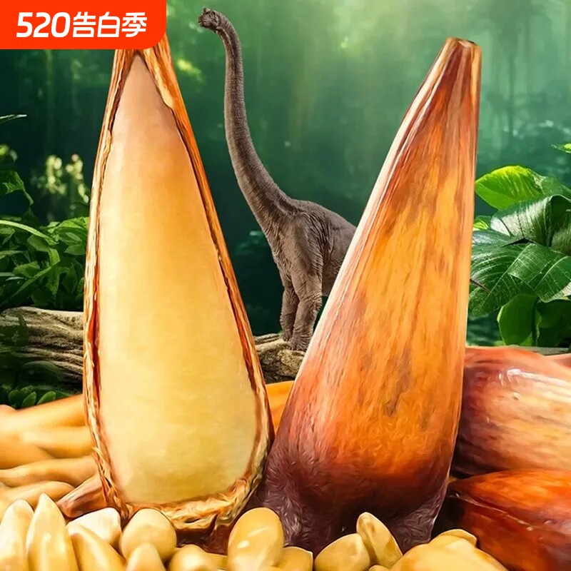 云南巴拉那松子拇指大松子云南大松子巴西松子巴拉纳松开口松子