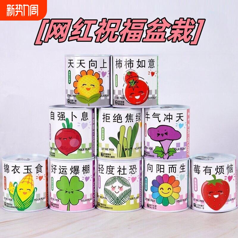 儿童罐头植物神奇桌面迷你绿植好养创意小盆栽种植草莓向日葵种子