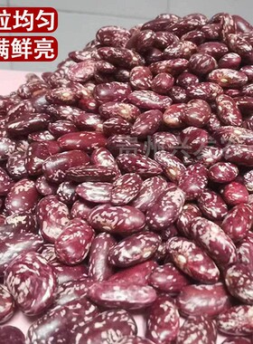 花豆贵州特产四季豆干货贵州红豆菜豆米红饭豆红花芸豆豆米自种