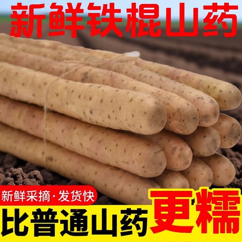河北特产铁棍山药麻山药新鲜山药小白嘴山药粉糯产地直发辅食铁杆