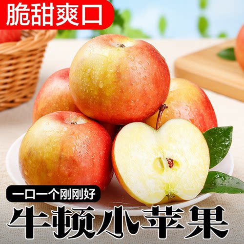 南非牛顿小苹果新鲜当季水果进口富士迷你糖心玫瑰樱桃佳品回购