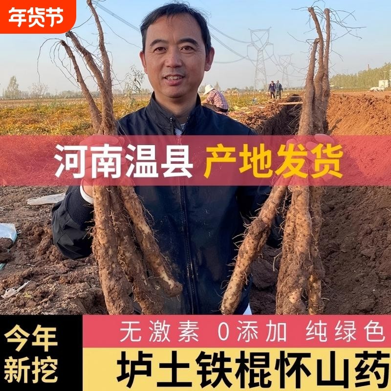 铁棍山药河南焦作温县正宗垆土怀淮山药新鲜铁杆蔬菜批发包邮怀山