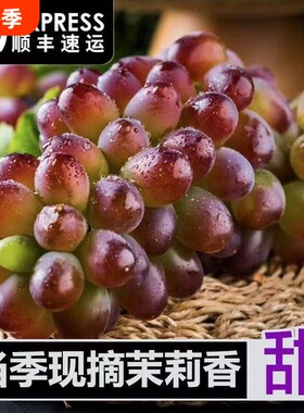 自带茉莉香无籽红提香甜多汁