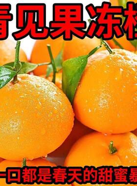 正宗四川青见果冻橙柑橘新鲜水果非爱媛整箱包邮孕妇水果橘子桔子