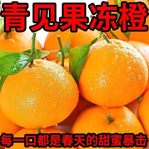 正宗四川青见果冻橙柑橘新鲜水果非爱媛整箱包邮孕妇水果橘子桔子