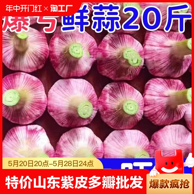 【特价】2024新蒜山东紫皮大蒜头红皮香蒜多瓣蒜泡蒜批发湿蒜鲜蒜