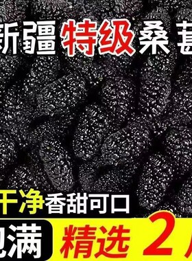 新疆野生黑桑葚桑葚干免洗无沙桑新疆罐装特级直泡茶泡水泡酒无沙