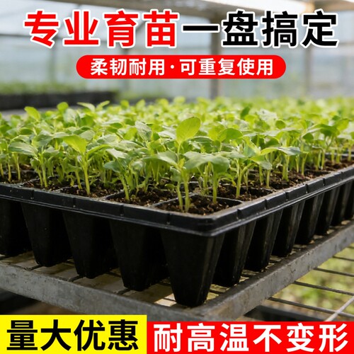 育苗盘穴盆种植神器蔬菜