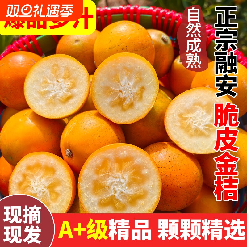 广西融安脆皮金桔纯甜蜜滑皮金桔1/2/3斤装新鲜水果应季孕妇整箱