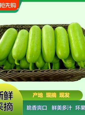 露天种植奶油黄瓜绿色新鲜水果黄瓜小黄瓜青瓜包邮一整箱脆甜现摘