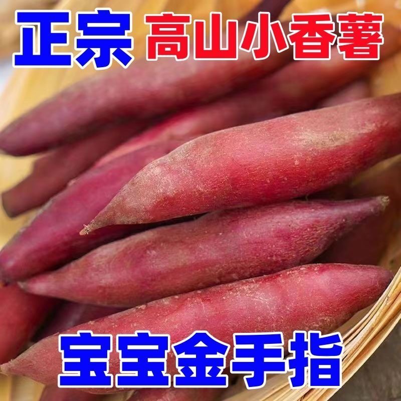 小香薯正宗天目农家板栗番薯新鲜粉糯香甜红薯现挖现发农家自种果,水产肉类/新鲜蔬果/熟食,番薯,淘宝优惠券,粉丝福利购,淘宝优惠卷