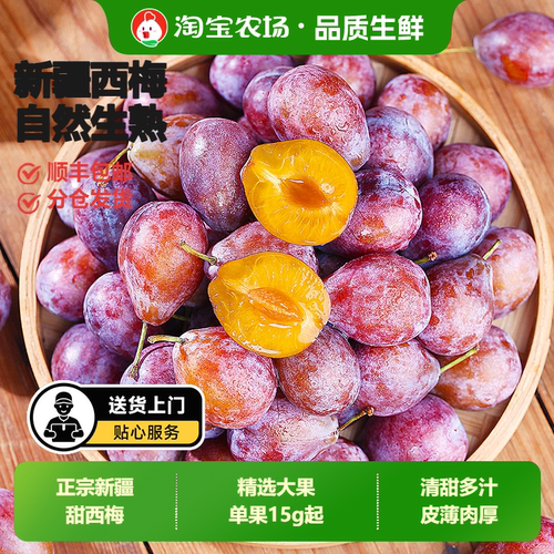 新疆喀什法兰西西梅水果孕妇鲜果新鲜当季甜李子顺丰包邮现摘甄选
