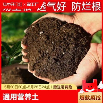 营养土养花种菜专用土多肉盆栽通用型种植土土壤花土肥料发酵种花