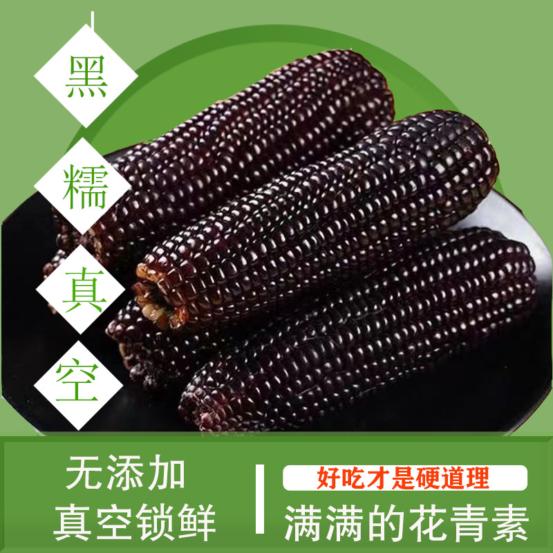 真空粗粮山西忻州黑糯玉米2025年真空包装香甜粘糯甜糯玉米黑糯