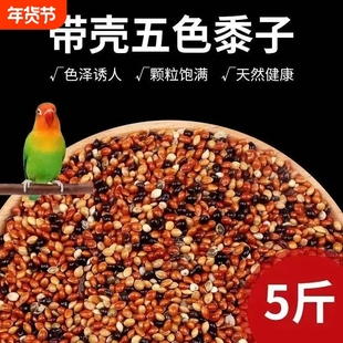 混合五色黍子鸟粮鸟食虎皮玄凤牡丹鹦鹉饲料珍珠文鸟黄谷子营养粮
