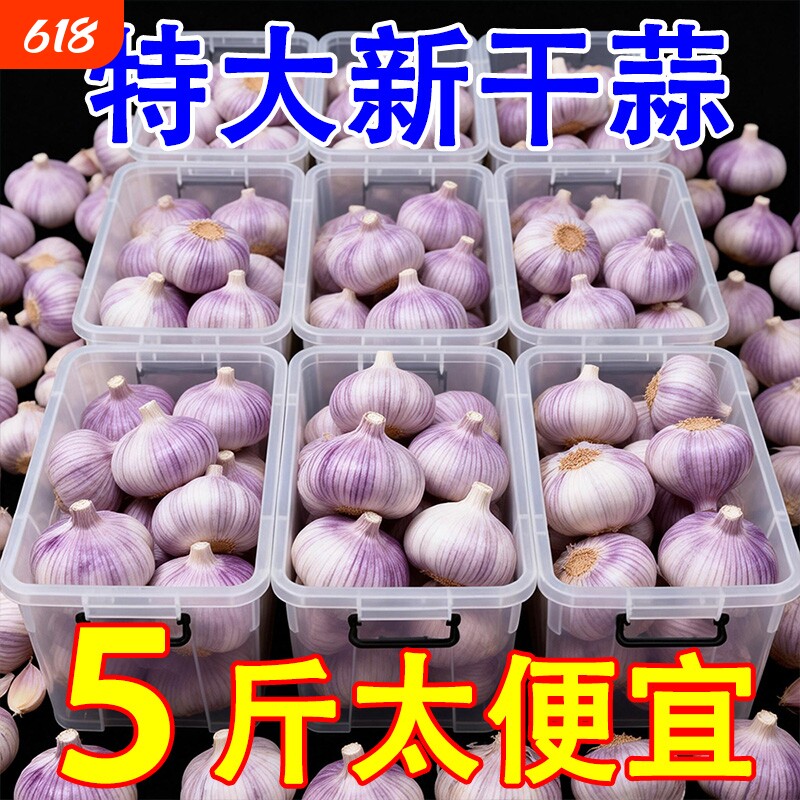 新干蒜5斤大蒜头农家大蒜当季新鲜蔬菜包邮山东金乡紫皮大蒜独头