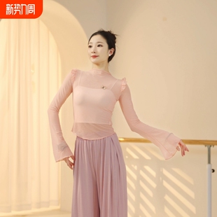 成人舞蹈服女2024夏季新款成人网纱蓝色练功古典现代跳舞上衣纱衣