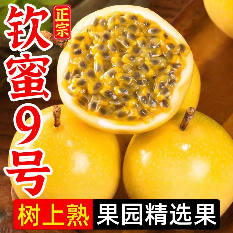 广西正宗黄金百香果现货速发