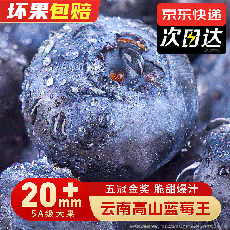 云南花香蓝莓【多地次日达】新鲜蓝梅鲜果水果高山L25送礼品物盒