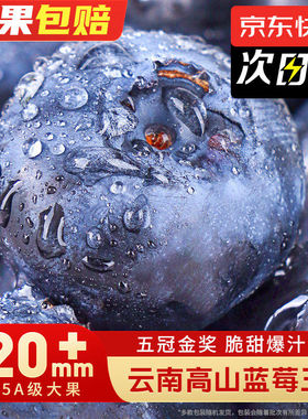 云南花香蓝莓【多地次日达】新鲜蓝梅鲜果水果高山L25送礼品物盒