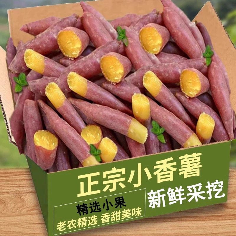 小香薯正宗天目农家板栗番薯新鲜粉糯香甜红薯现挖现发农家自种果,水产肉类/新鲜蔬果/熟食,番薯,淘宝优惠券,粉丝福利购,淘宝优惠卷