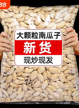 原味南瓜子南瓜籽2026新货熟炒粒现炒散装零食500克炒瓜子美人