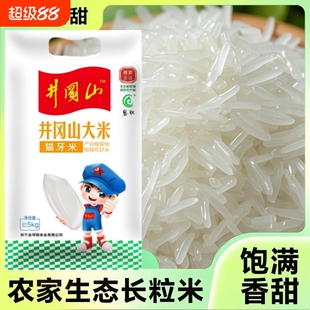 品质一级长粒香米井冈山丝苗大米新米煲仔饭专用猫牙米优质当季