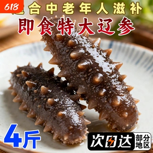 即食海参大连辽刺参鲜活非干货顺丰冷链肉质Q弹特大参滋补养殖