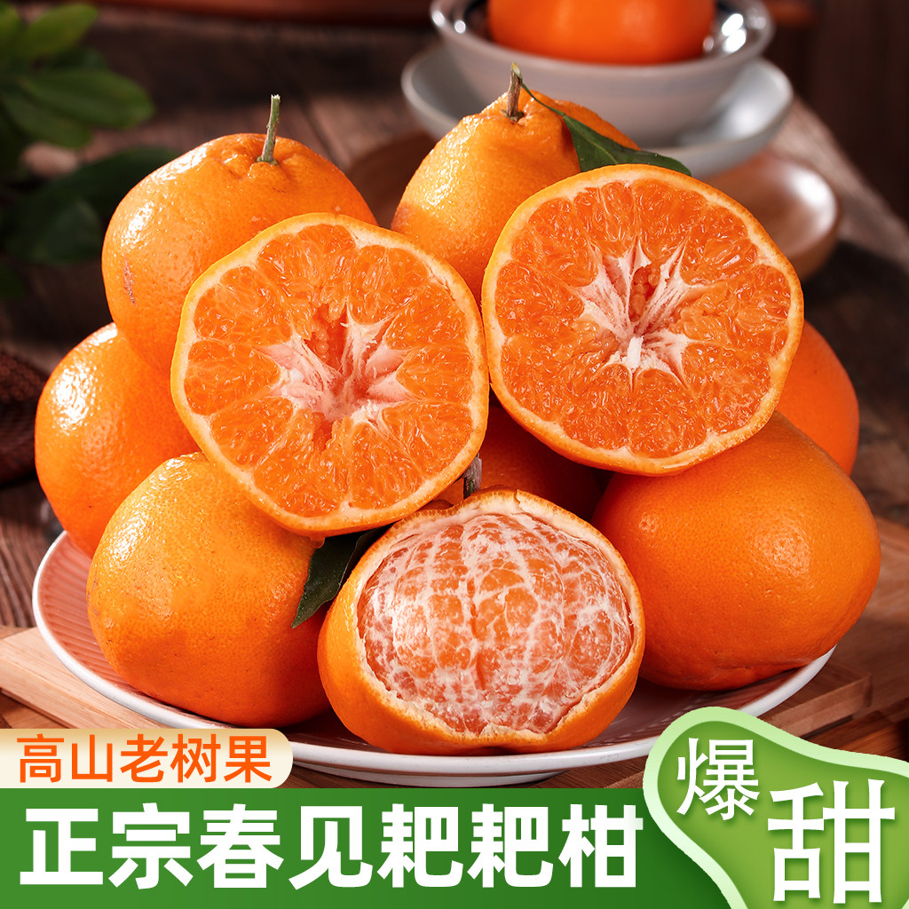 四川眉山正宗春见耙耙柑甜蜜多汁现采直发儿童孕妇时令水果桔子