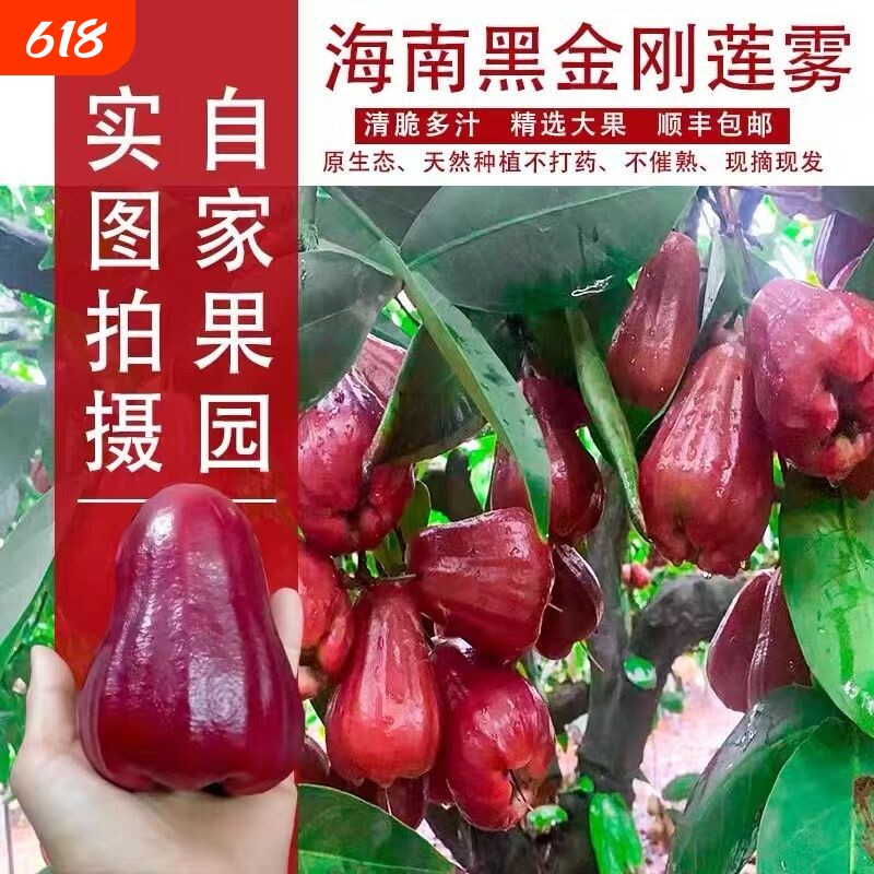 空运高端品种海南黑金刚莲雾水果莲雾果新鲜大果年货送礼品礼盒装