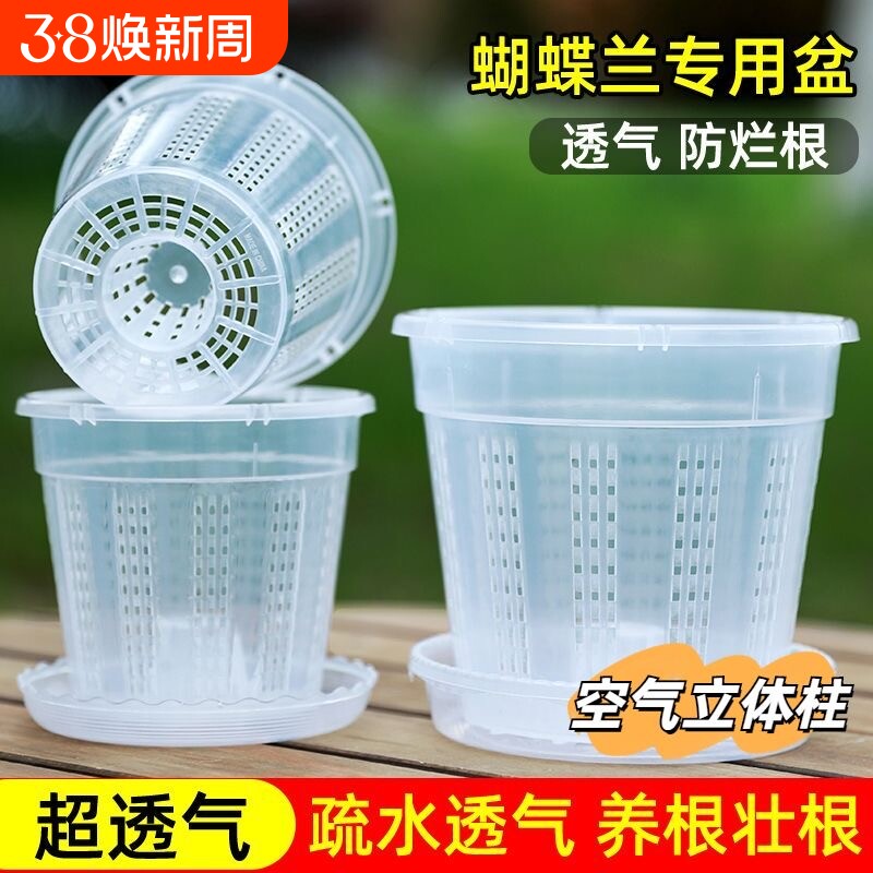 蝴蝶兰专用花盆透明青山盆特大号大口径塑料家用手工耐用种植桌面