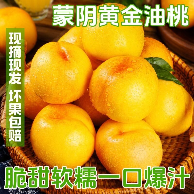 正宗蒙阴黄桃新鲜水果应季黄油桃黄金蜜桃王顺邮当季无毛鲜果脆甜