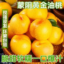 正宗蒙阴黄桃黄油桃新鲜水果应季黄金蜜桃王顺邮当季无毛鲜果脆甜