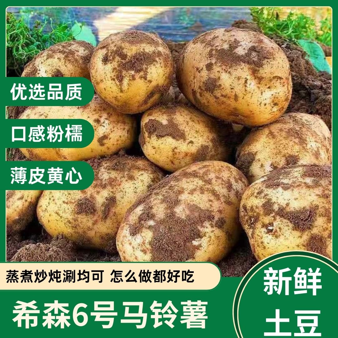 云南产地直发希森黄心土豆新鲜现挖粉面口感蒸煮炖炒皆宜
