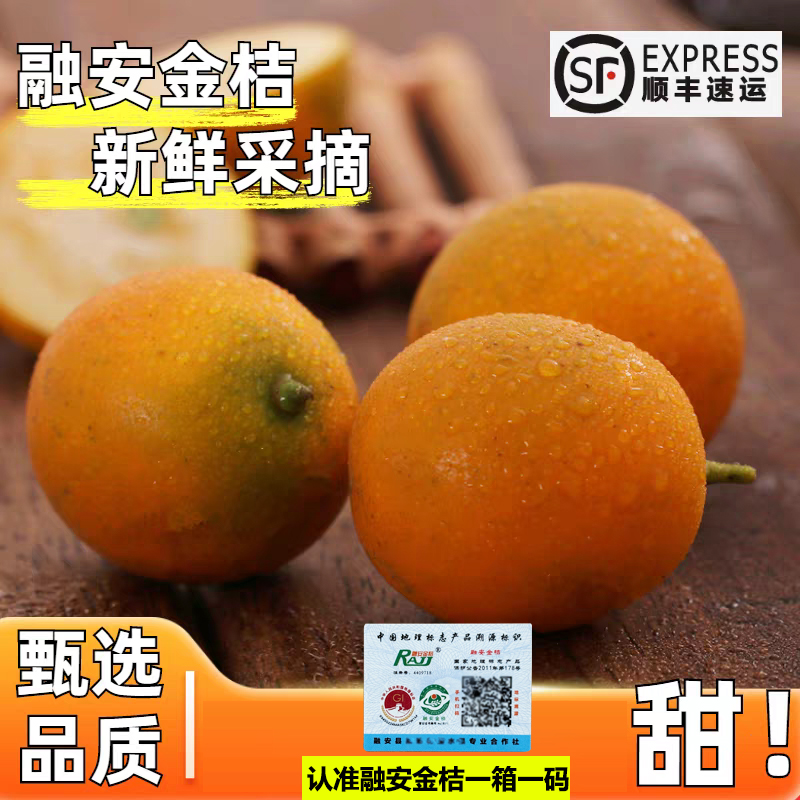 顺丰广西融安脆皮金桔新鲜纯甜无籽当季滑金桔皮大果可食纯甜包邮