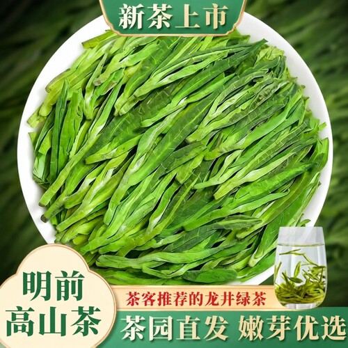 正宗龙井茶茶叶2026新茶高山明前绿茶春茶浓香型口粮茶自己喝茶农