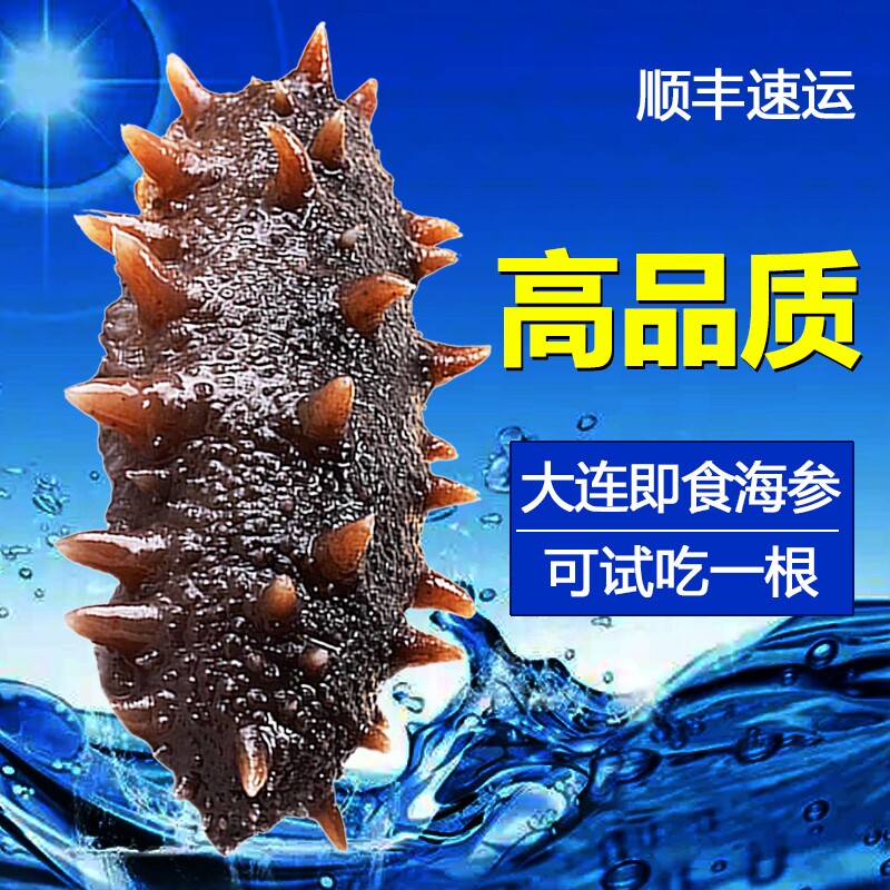 海参即食大连刺参辽参辽宁野生海参500g鲜活冷冻水产底播年货节