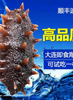 即食海参单个装大连辽宁野生