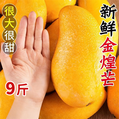 海南金煌芒果装甜心芒大果当季现摘新鲜水果甜蜜特产包邮整箱